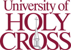 University of Holy Cross - 40 Best Affordable Pre-Pharmacy Degree Programs (Bachelor’s) 2020